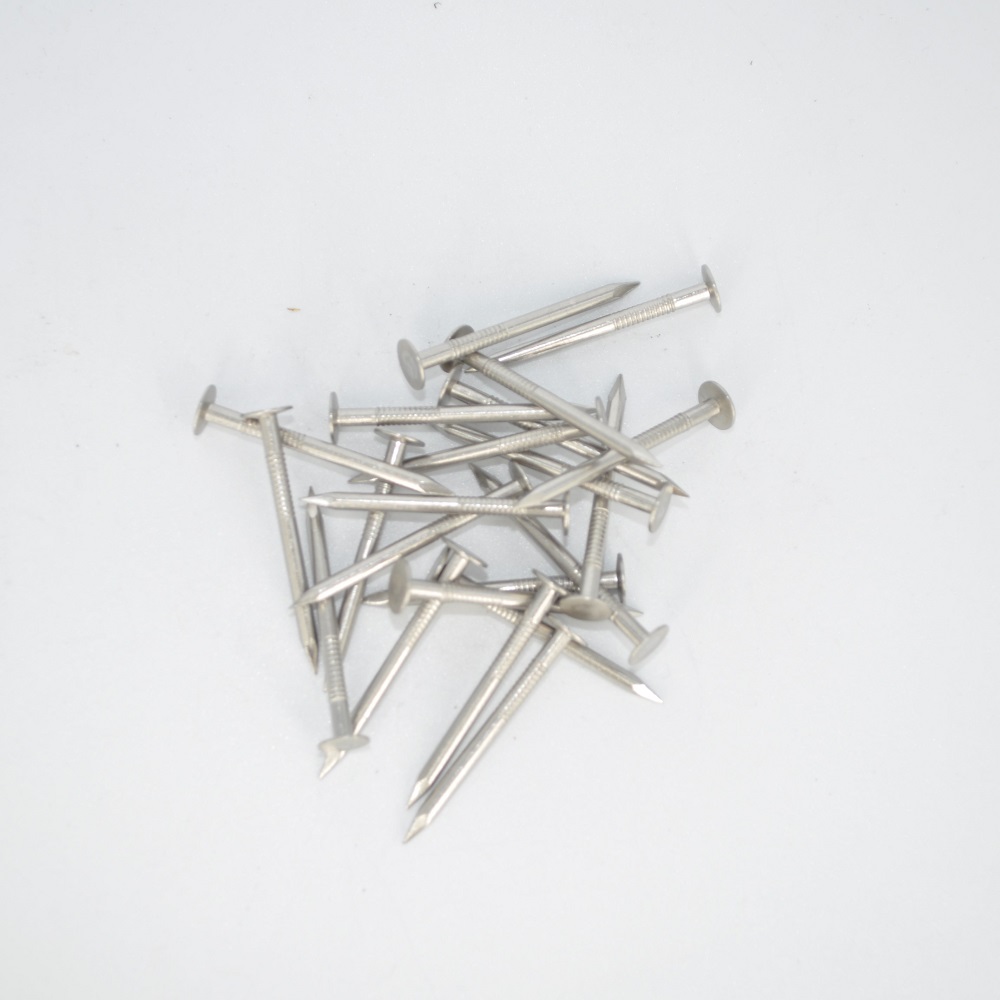 2.8 X 40mm 316 S/S CLOUT NAIL - 1KG